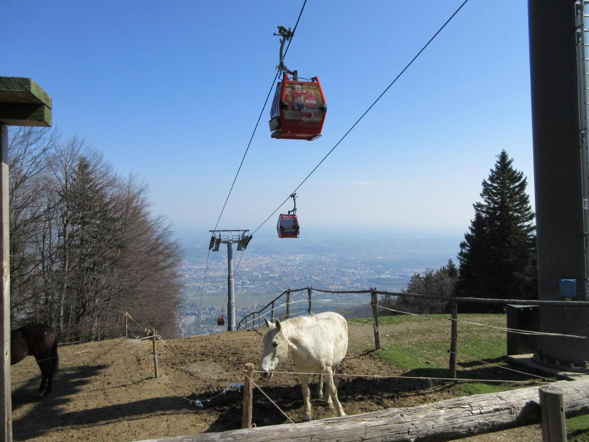 Luxury Apartments Bolf Hočko Pohorje Kültér fotó